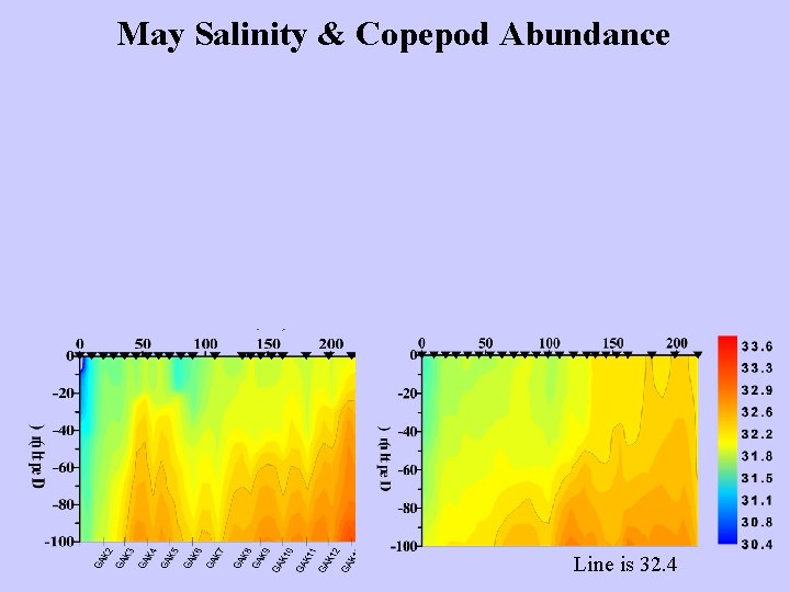 May Salinity & Copepod Abundance Line is 32. 4 