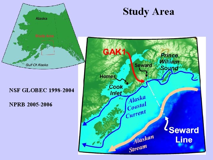 Study Area NSF GLOBEC 1998 -2004 NPRB 2005 -2006 