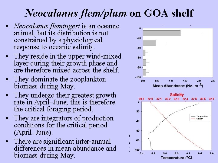 Neocalanus flem/plum on GOA shelf • Neocalanus flemingeri is an oceanic animal, but its