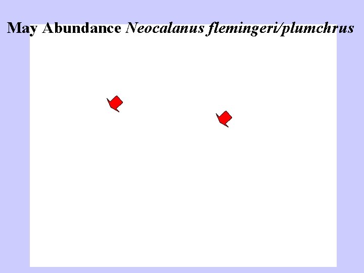 May Abundance Neocalanus flemingeri/plumchrus 