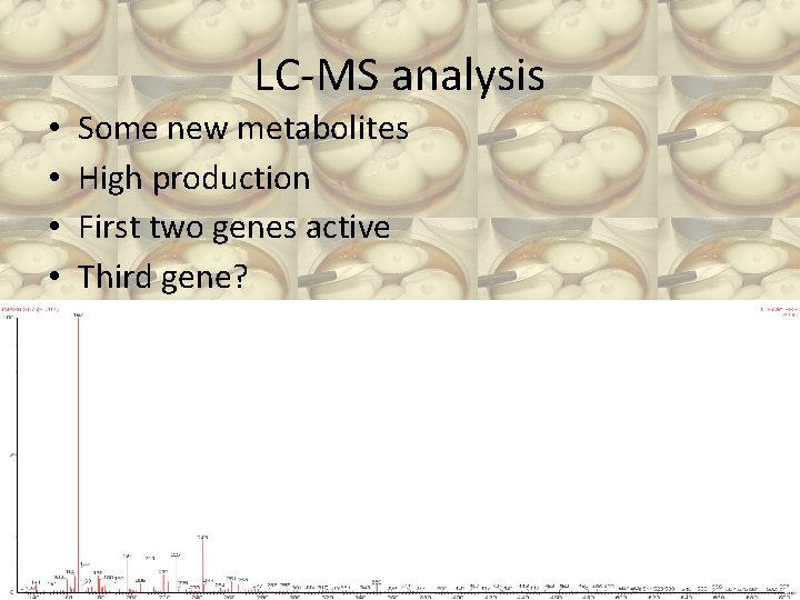 LC-MS analysis • • Some new metabolites High production First two genes active Third