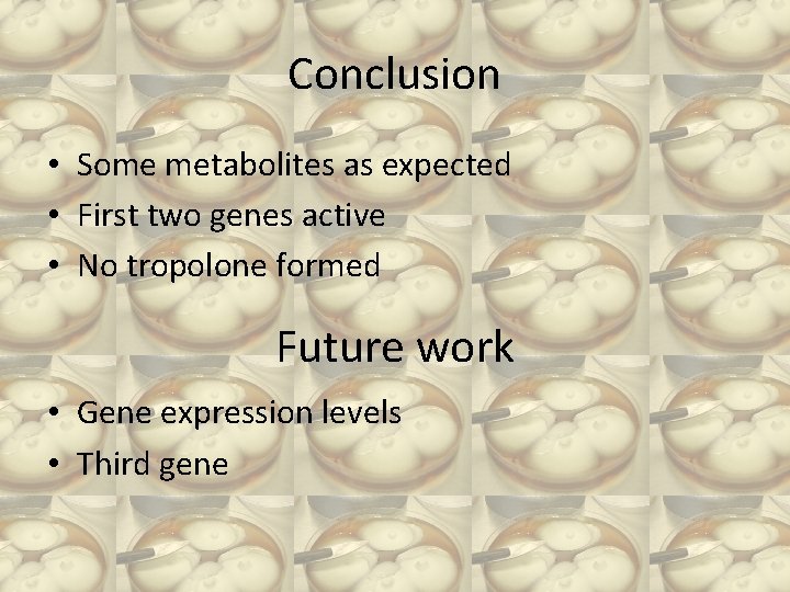 Conclusion • Some metabolites as expected • First two genes active • No tropolone