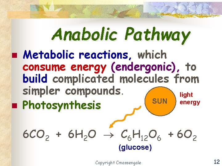 Anabolic Pathway n n Metabolic reactions, which consume energy (endergonic), to build complicated molecules
