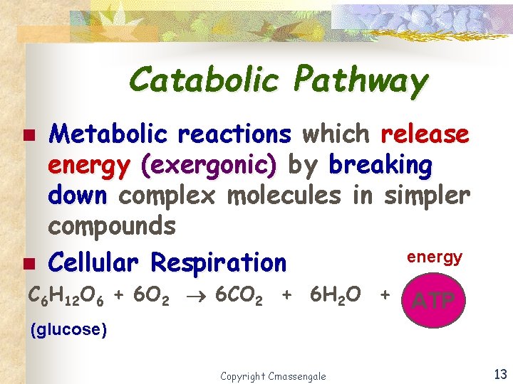 Catabolic Pathway n Metabolic reactions which release energy (exergonic) by breaking down complex molecules