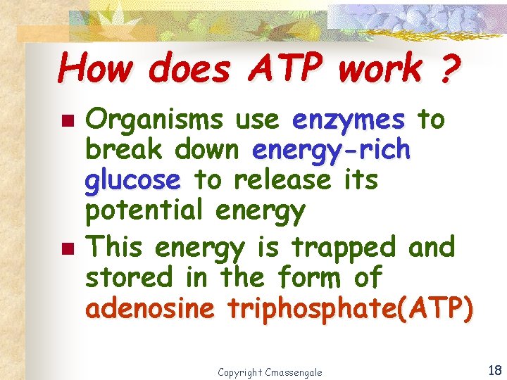 How does ATP work ? n n Organisms use enzymes to break down energy-rich