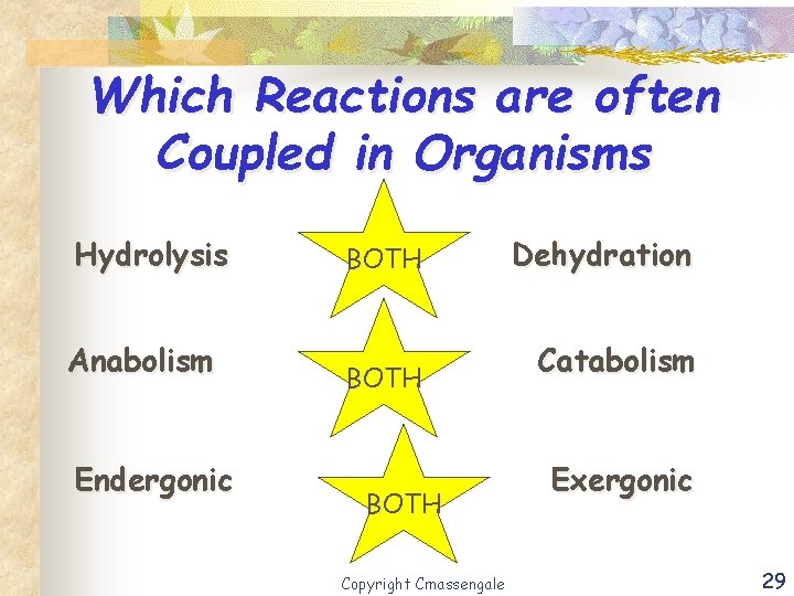 Which Reactions are often Coupled in Organisms Hydrolysis Anabolism Endergonic or BOTH Dehydration or