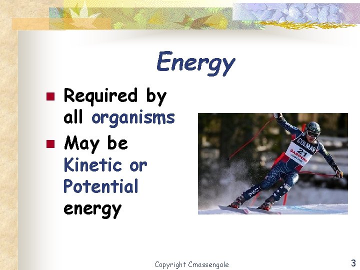 Energy n n Required by all organisms May be Kinetic or Potential energy Copyright