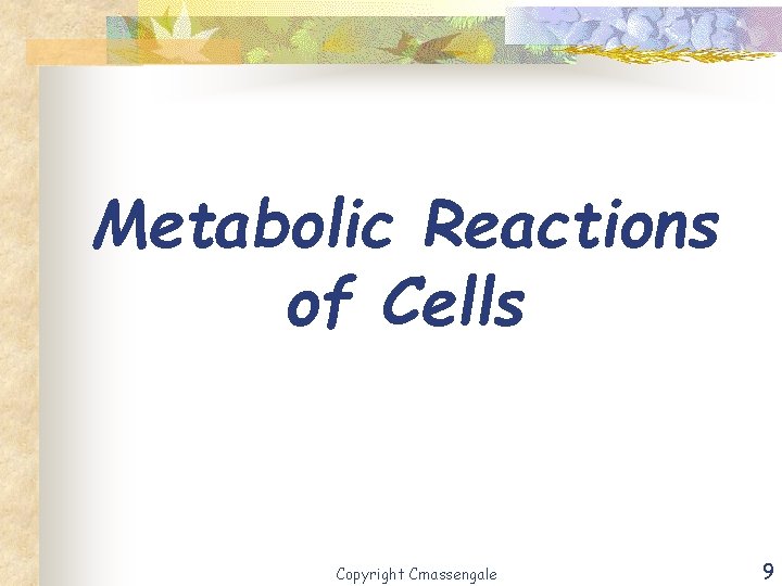 Metabolic Reactions of Cells Copyright Cmassengale 9 