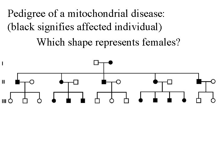 Pedigree of a mitochondrial disease: (black signifies affected individual) Which shape represents females? 