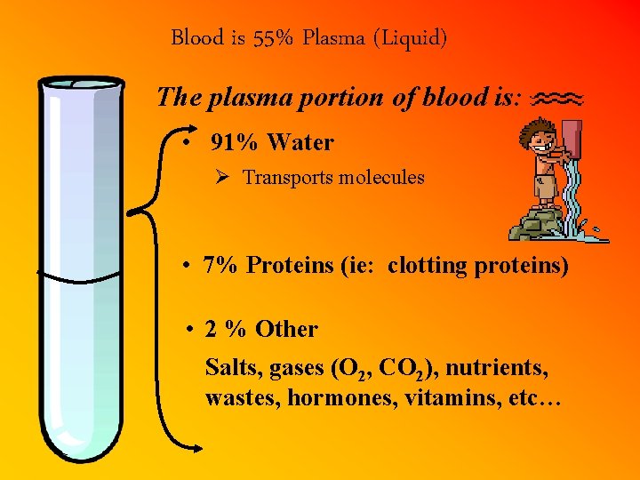 Blood is 55% Plasma (Liquid) The plasma portion of blood is: • 91% Water