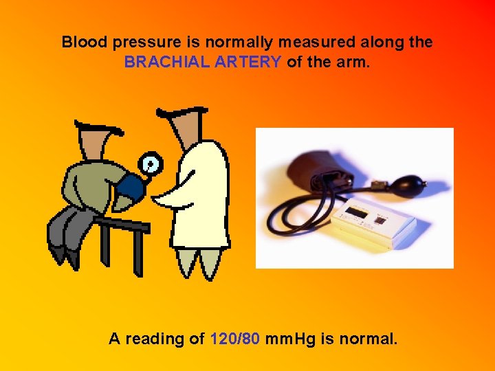 Blood pressure is normally measured along the BRACHIAL ARTERY of the arm. A reading