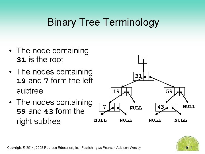 Binary Tree Terminology • The node containing 31 is the root • The nodes