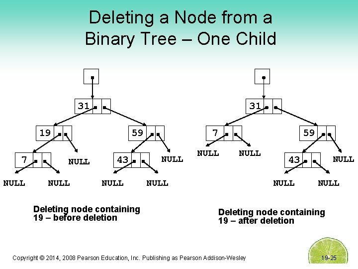 Deleting a Node from a Binary Tree – One Child 31 31 19 7