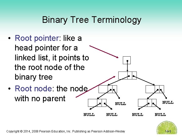 Binary Tree Terminology • Root pointer: like a head pointer for a linked list,