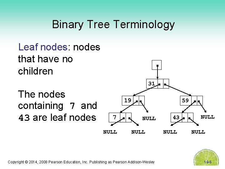 Binary Tree Terminology Leaf nodes: nodes that have no children 31 The nodes containing