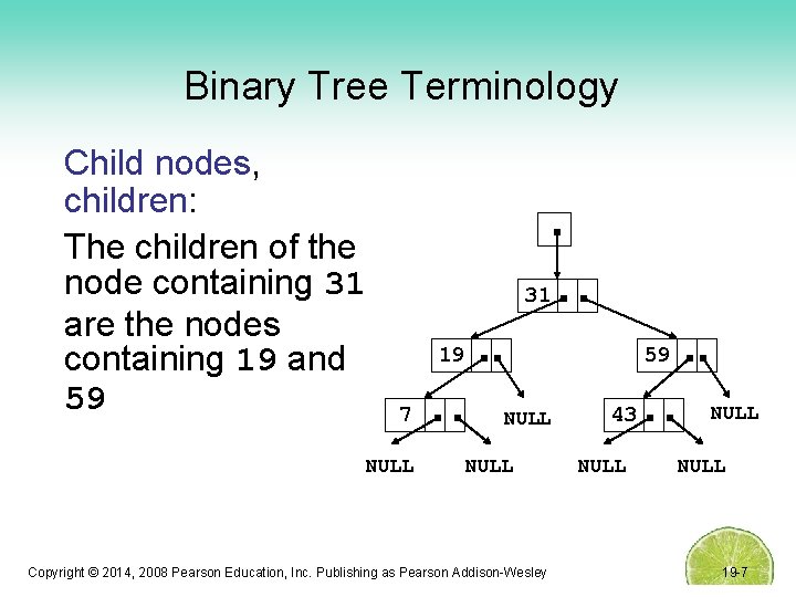 Binary Tree Terminology Child nodes, children: The children of the node containing 31 are