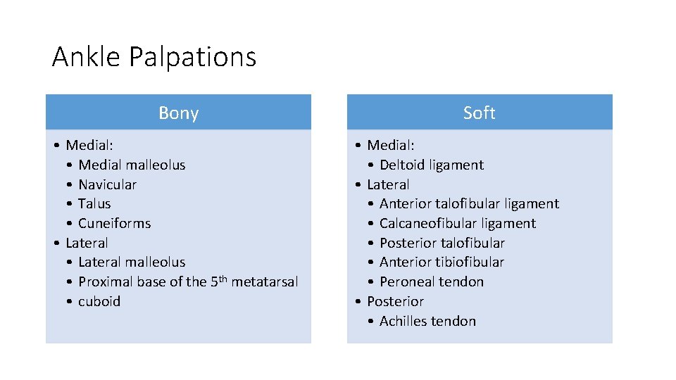 Ankle Palpations Bony • Medial: • Medial malleolus • Navicular • Talus • Cuneiforms