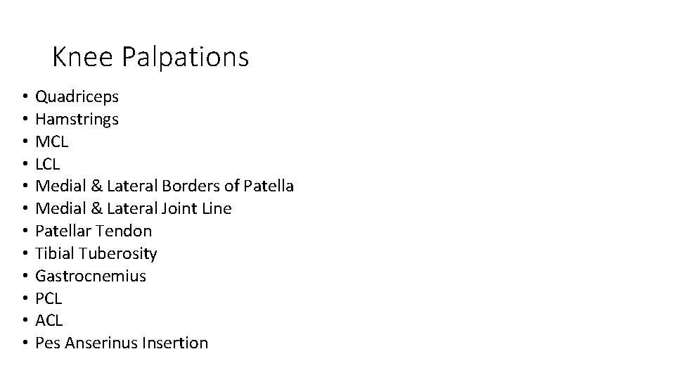 Knee Palpations • • • Quadriceps Hamstrings MCL LCL Medial & Lateral Borders of