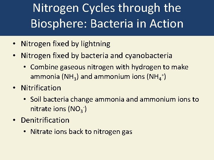 Nitrogen Cycles through the Biosphere: Bacteria in Action • Nitrogen fixed by lightning •
