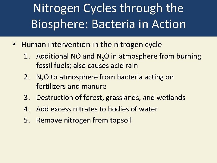 Nitrogen Cycles through the Biosphere: Bacteria in Action • Human intervention in the nitrogen