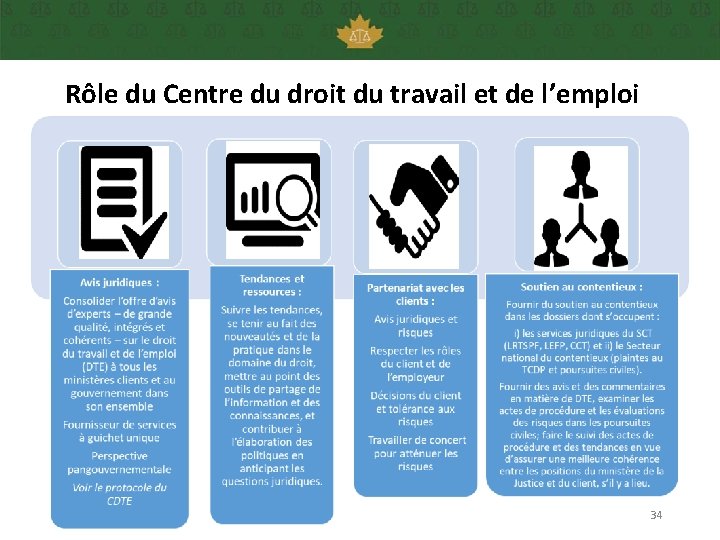 Rôle du Centre du droit du travail et de l’emploi 34 