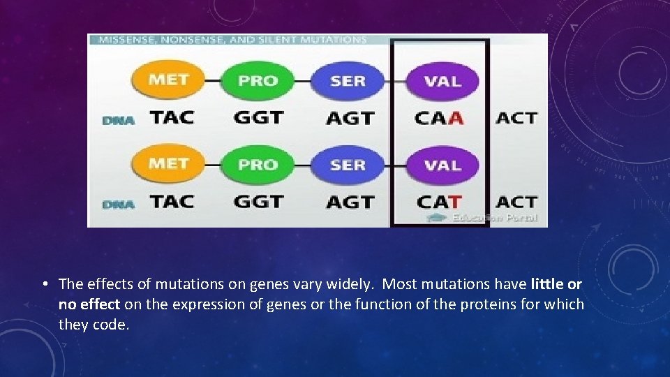  • The effects of mutations on genes vary widely. Most mutations have little