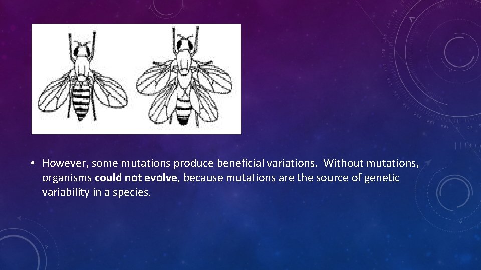  • However, some mutations produce beneficial variations. Without mutations, organisms could not evolve,