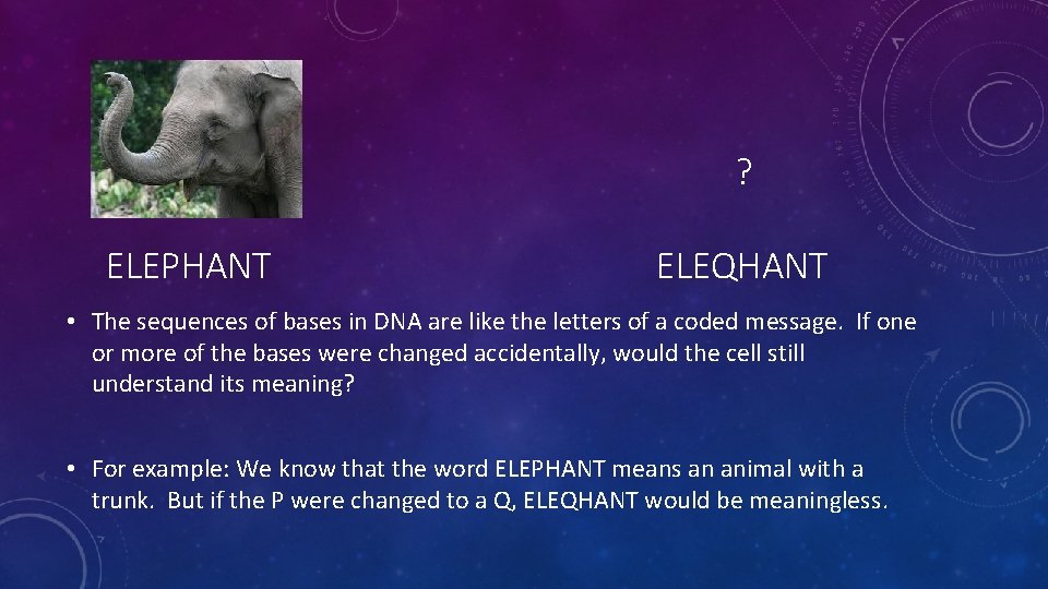 ? ELEPHANT ELEQHANT • The sequences of bases in DNA are like the letters