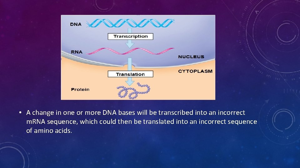  • A change in one or more DNA bases will be transcribed into