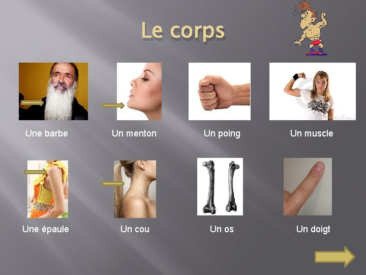 Le corps Une barbe Un menton Un poing Un muscle Une épaule Un cou