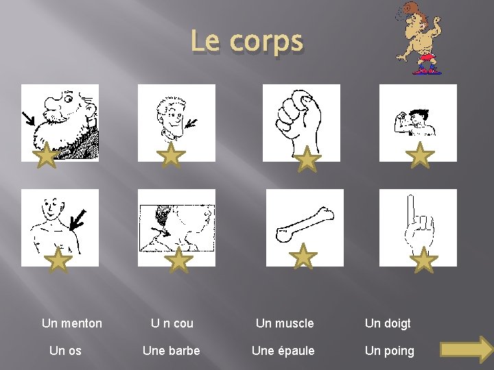 Le corps Un menton Un os U n cou Un muscle Un doigt Une