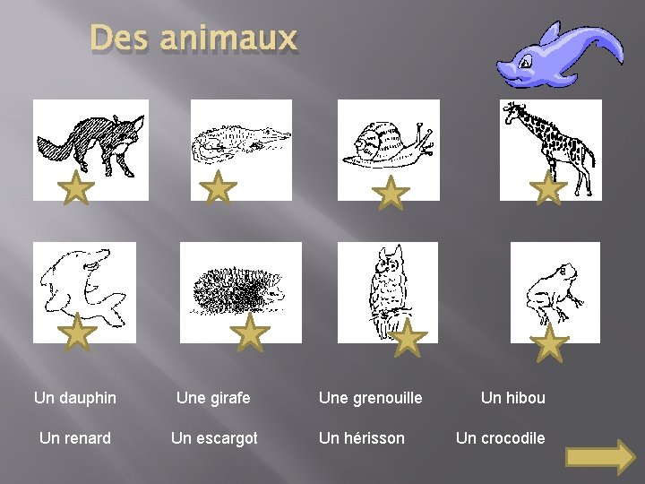 Des animaux Un dauphin Une girafe Un renard Un escargot Une grenouille Un hérisson