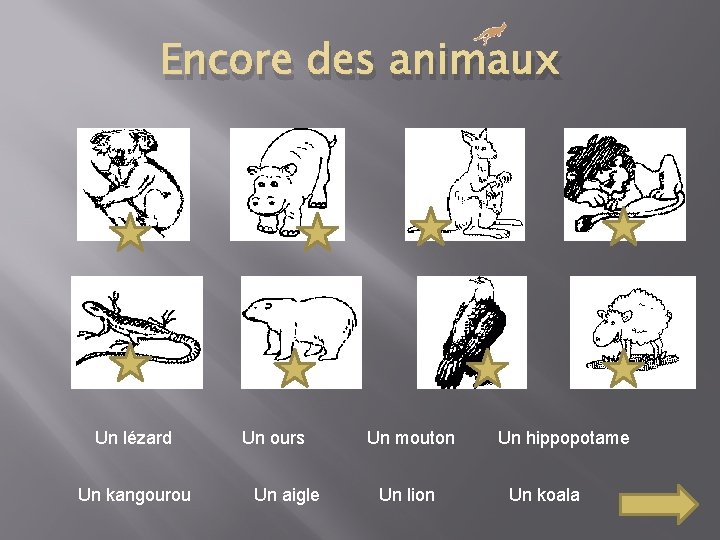 Encore des animaux Un lézard Un kangourou Un ours Un aigle Un mouton Un