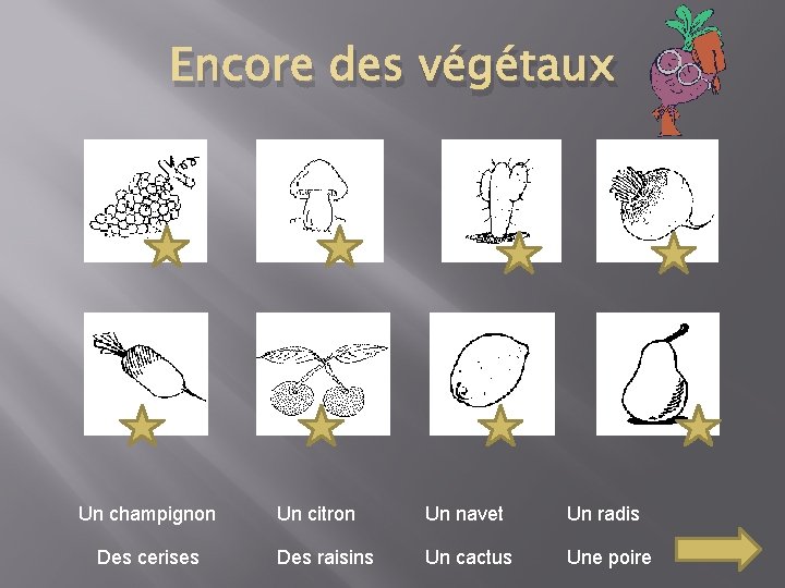 Encore des végétaux Un champignon Des cerises Un citron Un navet Un radis Des