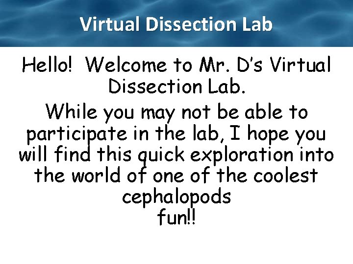 Virtual Dissection Lab Hello! Welcome to Mr. D’s Virtual Dissection Lab. While you may Virtual Dissection Lab Hello! Welcome to Mr. D’s Virtual Dissection Lab. While you may