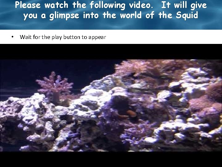 Please watch the following video. It will give you a glimpse into the world Please watch the following video. It will give you a glimpse into the world