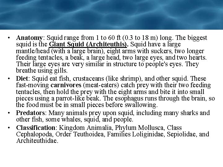 • Anatomy: Squid range from 1 to 60 ft (0. 3 to 18 • Anatomy: Squid range from 1 to 60 ft (0. 3 to 18