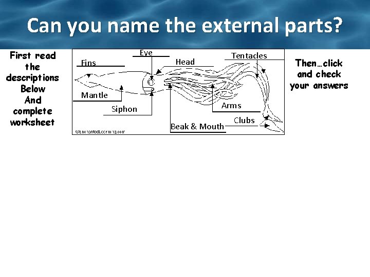 Can you name the external parts? First read the descriptions Below And complete worksheet Can you name the external parts? First read the descriptions Below And complete worksheet