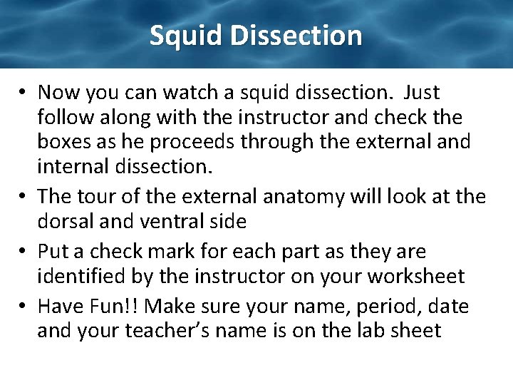 Squid Dissection • Now you can watch a squid dissection. Just follow along with Squid Dissection • Now you can watch a squid dissection. Just follow along with