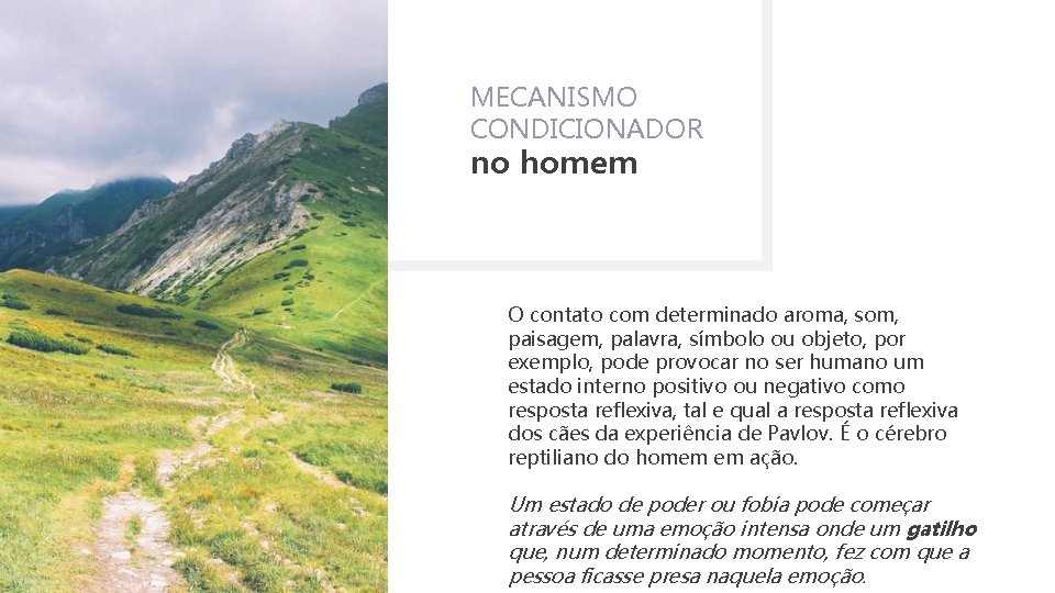 MECANISMO CONDICIONADOR no homem O contato com determinado aroma, som, paisagem, palavra, símbolo ou