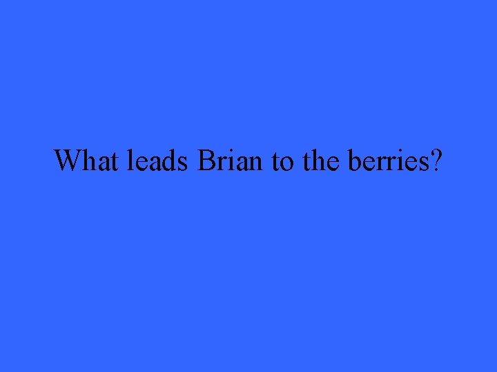What leads Brian to the berries? 