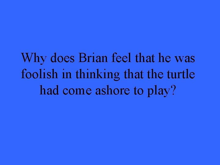 Why does Brian feel that he was foolish in thinking that the turtle had