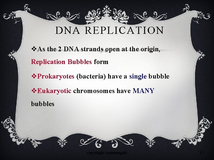 DNA REPLICATION v. As the 2 DNA strands open at the origin, Replication Bubbles