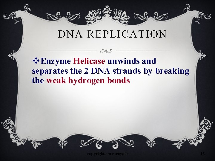 DNA REPLICATION v. Enzyme Helicase unwinds and separates the 2 DNA strands by breaking