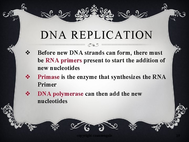 DNA REPLICATION v v v Before new DNA strands can form, there must be