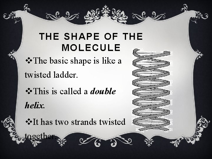 THE SHAPE OF THE MOLECULE v. The basic shape is like a twisted ladder.