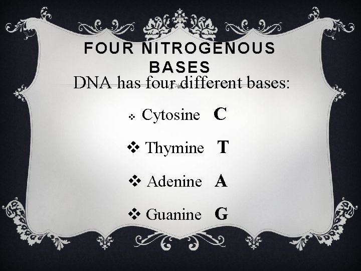 FOUR NITROGENOUS BASES DNA has four different bases: v Cytosine C v Thymine T
