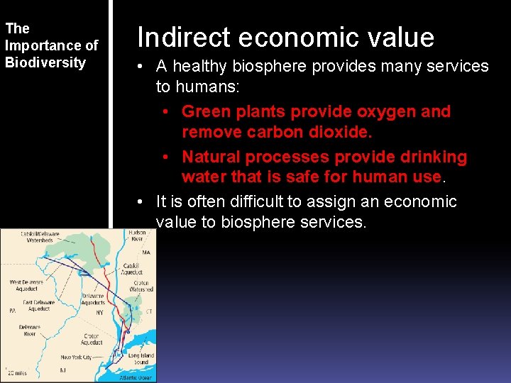 The Importance of Biodiversity Indirect economic value • A healthy biosphere provides many services