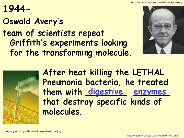 http: //en. wikipedia. org/wiki/Oswald_Avery 1944 - Oswald Avery’s team of scientists repeat Griffith’s experiments