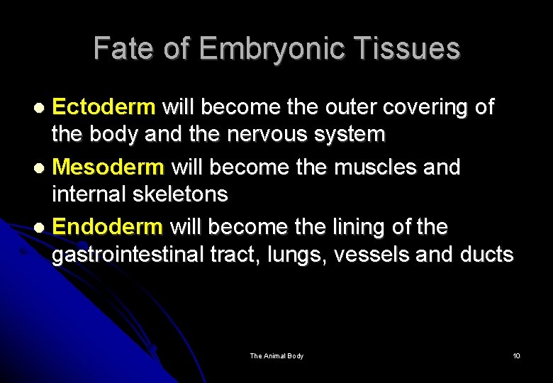 Fate of Embryonic Tissues Ectoderm will become the outer covering of the body and